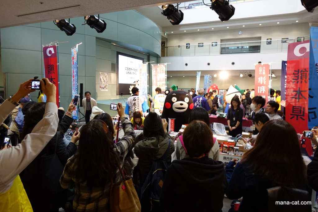 f:id:mana-cat:20160318221842j:plain