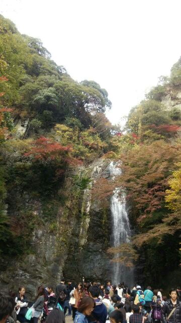 f:id:mana357:20141118225934j:image f:id:mana357:20141118225934j:image