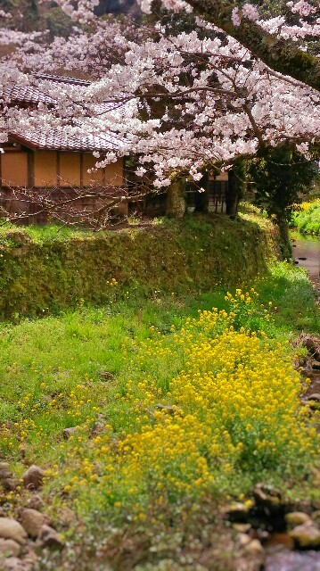 f:id:manaong:20160403203513j:image f:id:manaong:20160403203513j:image