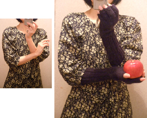 f:id:manekineko85:20131019193527j:image f:id:manekineko85:20131019193527j:image