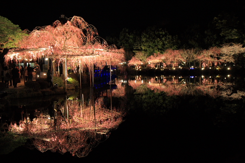 f:id:mangokyoto:20110407205133j:image f:id:mangokyoto:20110407205133j:image