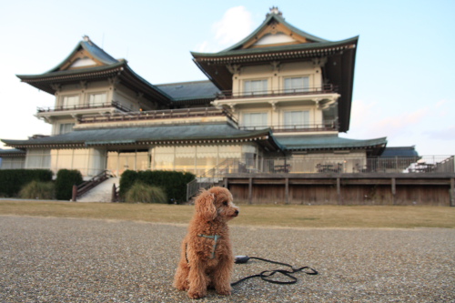 f:id:mangokyoto:20120204165554j:image f:id:mangokyoto:20120204165554j:image