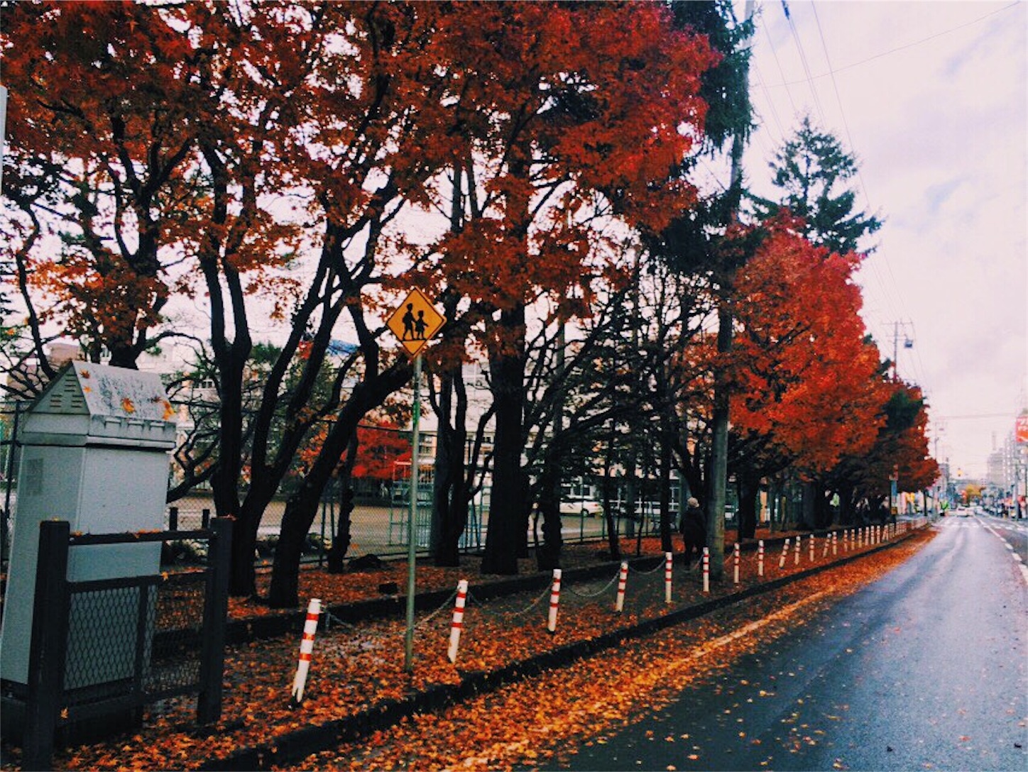 f:id:manuke801:20151112124507j:image f:id:manuke801:20151112124507j:image