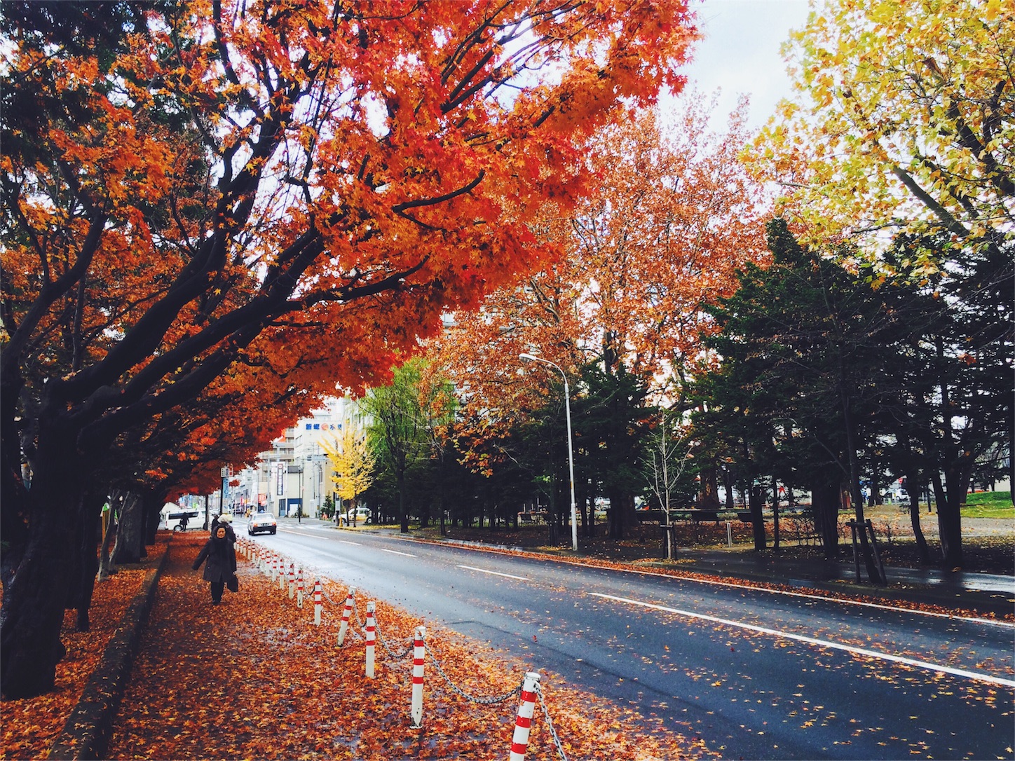 f:id:manuke801:20151112124510j:image f:id:manuke801:20151112124510j:image