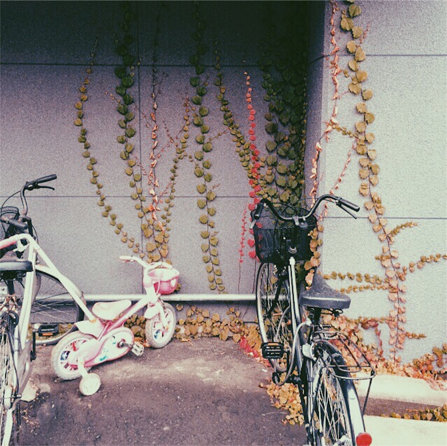 f:id:manuke801:20151115232513j:image f:id:manuke801:20151115232513j:image