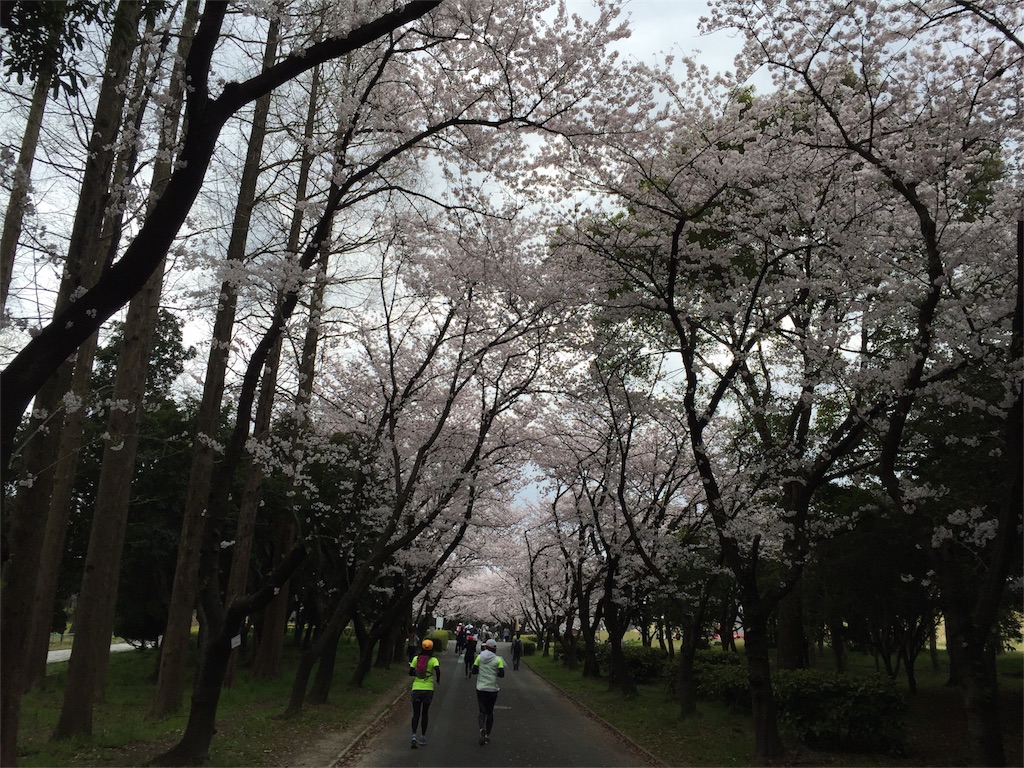 f:id:marathondojo:20160405133607j:image f:id:marathondojo:20160405133607j:image