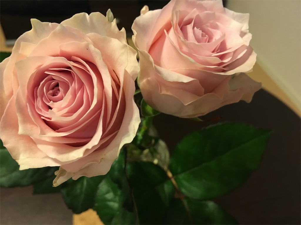 f:id:margueriiite:20160416135819j:image f:id:margueriiite:20160416135819j:image