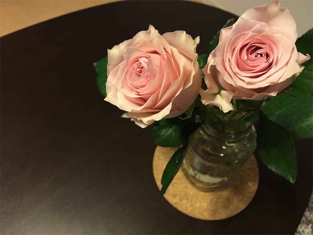 f:id:margueriiite:20160514234639j:image f:id:margueriiite:20160514234639j:image