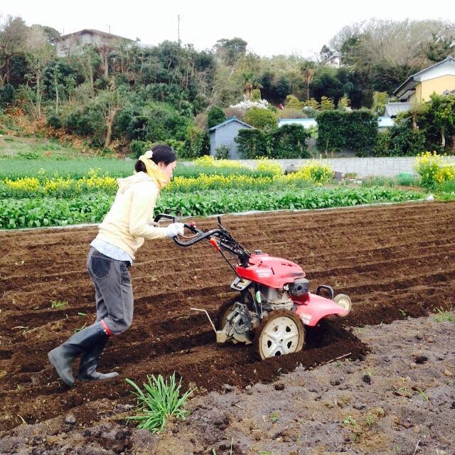 f:id:mari-labo:20150406092753j:plain f:id:mari-labo:20150406092753j:plain