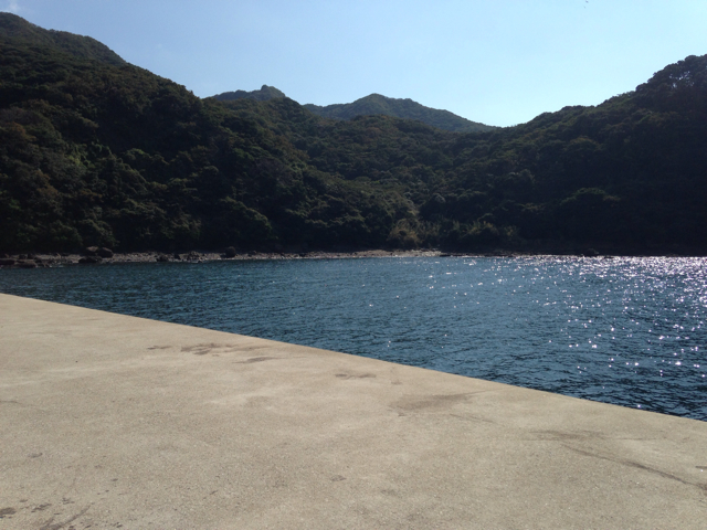 f:id:maribu1111:20131020131430j:plain f:id:maribu1111:20131020131430j:plain