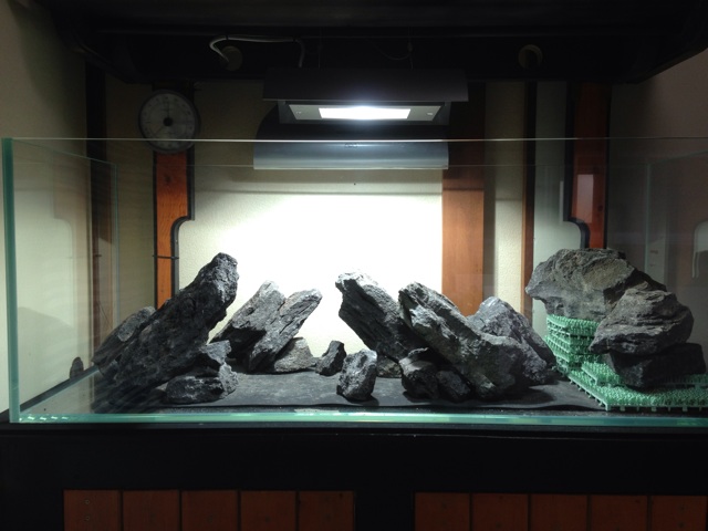 f:id:maribu1111:20140210080851j:plain f:id:maribu1111:20140210080851j:plain