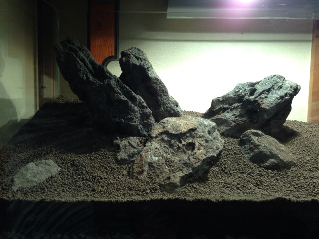 f:id:maribu1111:20140217095417j:plain f:id:maribu1111:20140217095417j:plain