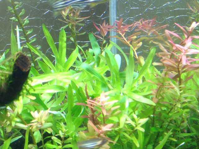 f:id:maribu1111:20140228213826j:plain f:id:maribu1111:20140228213826j:plain