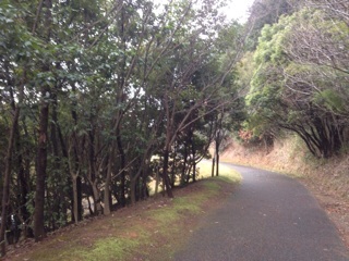f:id:maribu1111:20140302141715j:plain f:id:maribu1111:20140302141715j:plain