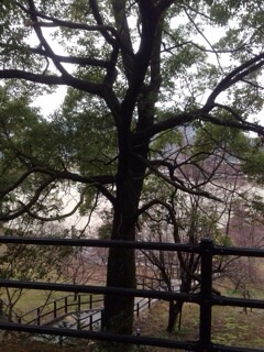 f:id:maribu1111:20140302142200j:plain f:id:maribu1111:20140302142200j:plain