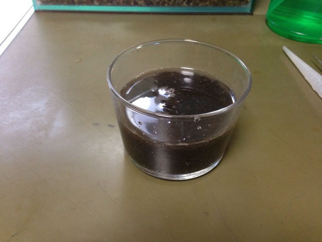 f:id:maribu1111:20140302143333j:plain f:id:maribu1111:20140302143333j:plain