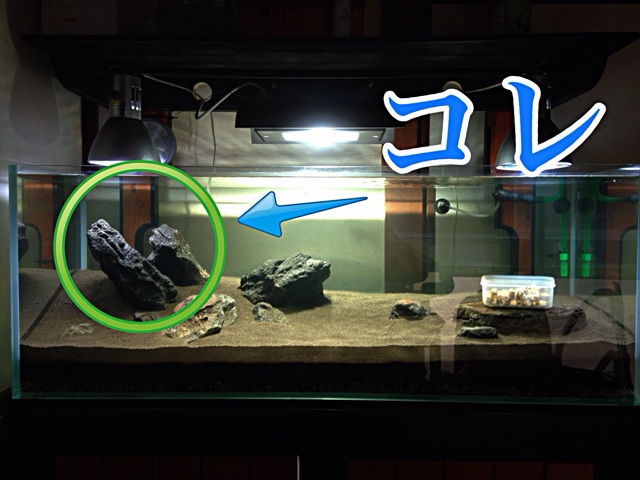 f:id:maribu1111:20140326143222j:plain f:id:maribu1111:20140326143222j:plain