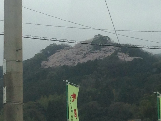 f:id:maribu1111:20140330134314j:plain f:id:maribu1111:20140330134314j:plain