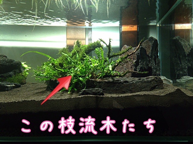 f:id:maribu1111:20140401141004j:plain f:id:maribu1111:20140401141004j:plain