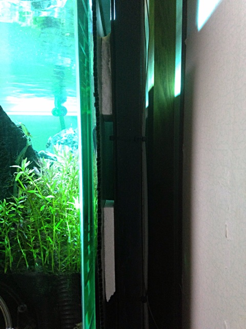 f:id:maribu1111:20140402000525j:plain f:id:maribu1111:20140402000525j:plain