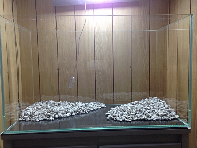 f:id:maribu1111:20140405164835j:plain f:id:maribu1111:20140405164835j:plain