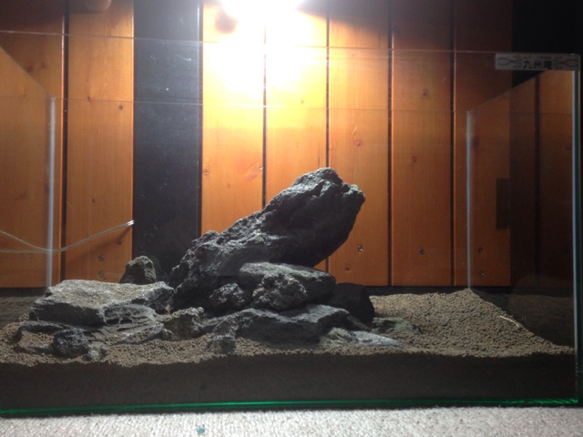 f:id:maribu1111:20140414225916j:plain f:id:maribu1111:20140414225916j:plain
