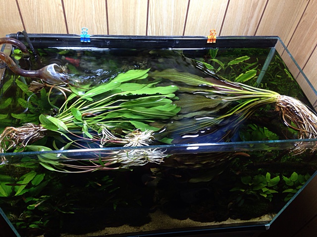 f:id:maribu1111:20140426080816j:plain f:id:maribu1111:20140426080816j:plain
