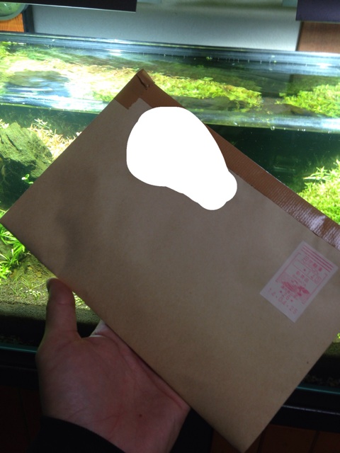 f:id:maribu1111:20140428223526j:plain f:id:maribu1111:20140428223526j:plain