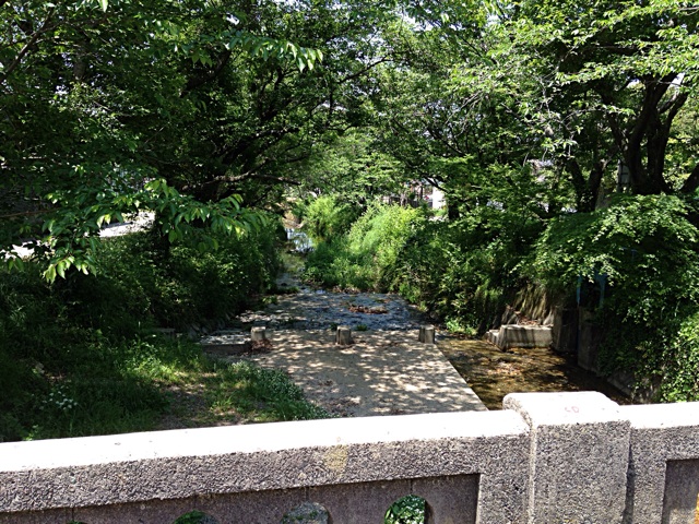 f:id:maribu1111:20140503144347j:plain f:id:maribu1111:20140503144347j:plain