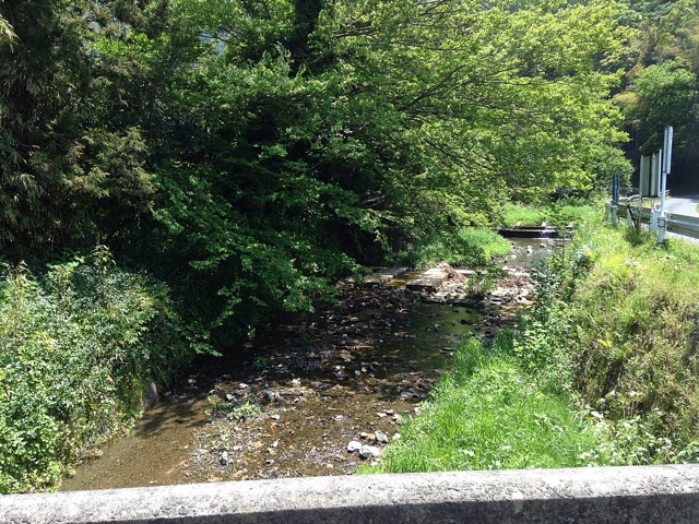 f:id:maribu1111:20140503144400j:plain f:id:maribu1111:20140503144400j:plain