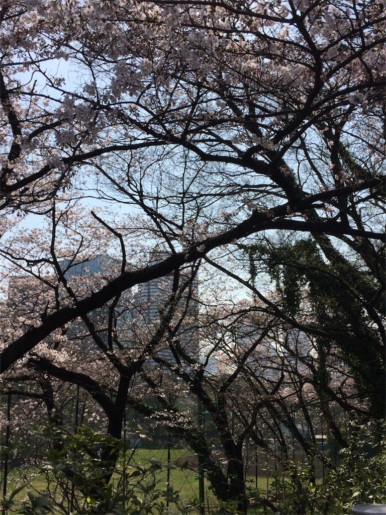 f:id:marie8nz:20160401102806j:image f:id:marie8nz:20160401102806j:image