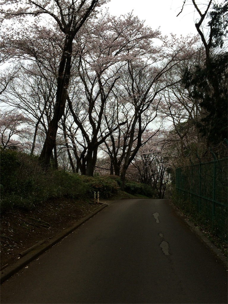 f:id:marie8nz:20160403113251j:image f:id:marie8nz:20160403113251j:image