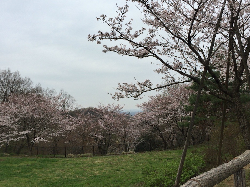 f:id:marie8nz:20160403113312j:image f:id:marie8nz:20160403113312j:image
