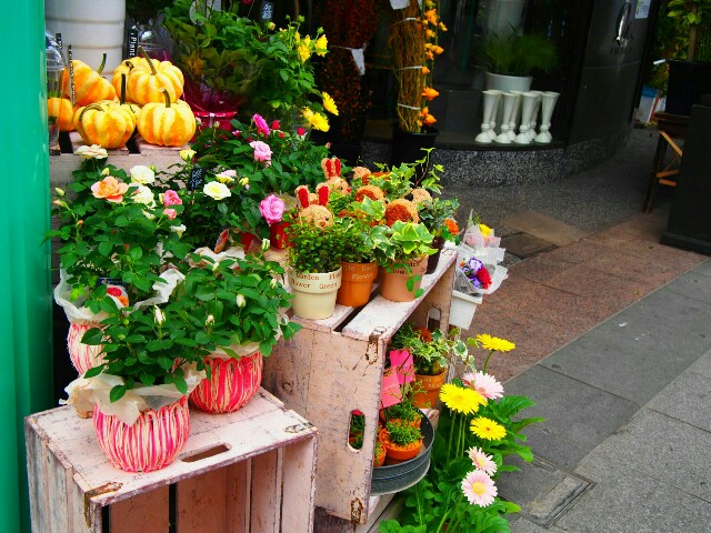 f:id:marika3flower3:20151011094219j:image f:id:marika3flower3:20151011094219j:image