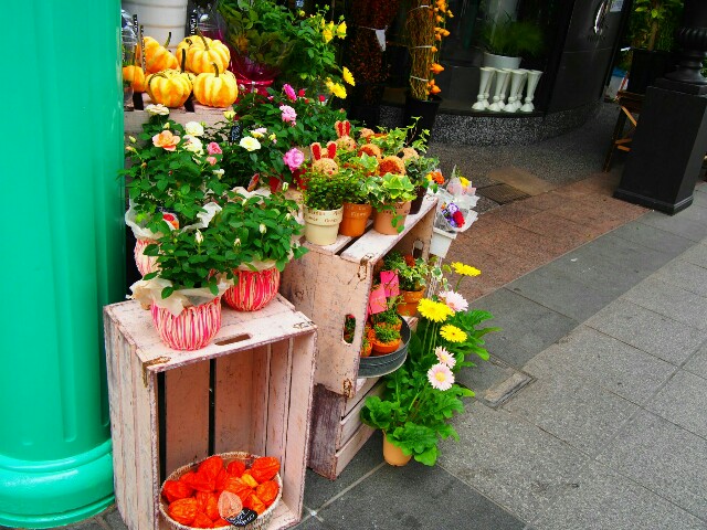 f:id:marika3flower3:20151011094234j:image f:id:marika3flower3:20151011094234j:image