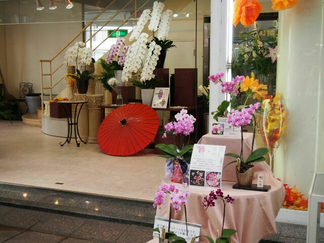 f:id:marika3flower3:20151011094421j:image f:id:marika3flower3:20151011094421j:image