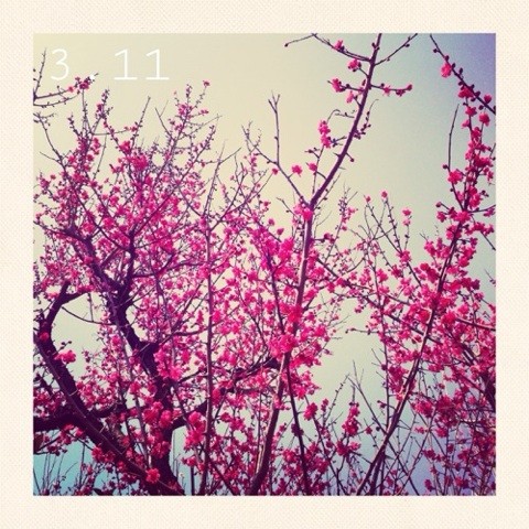 f:id:mariko_tsukamoto:20140311230759j:image f:id:mariko_tsukamoto:20140311230759j:image