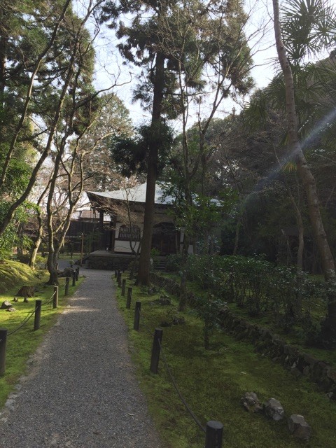 f:id:marinabook:20150324105604j:plain f:id:marinabook:20150324105604j:plain