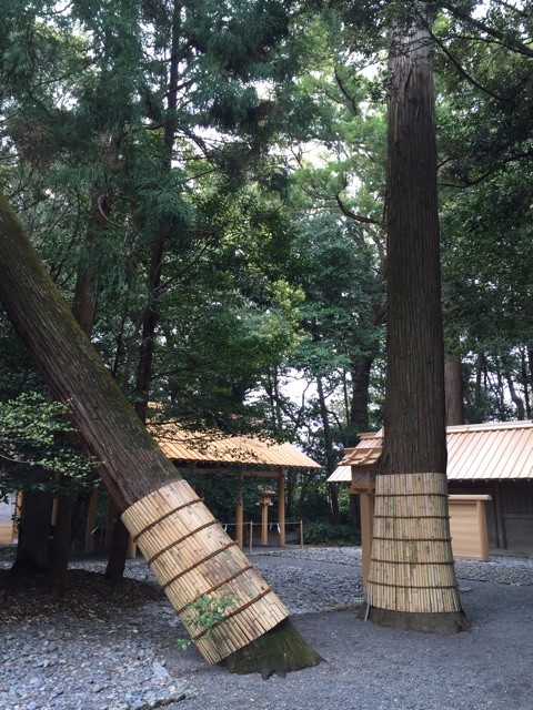 f:id:marinabook:20150408214116j:plain f:id:marinabook:20150408214116j:plain