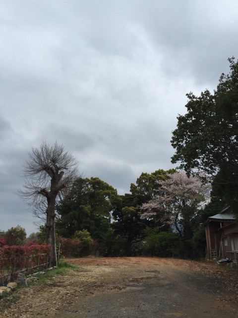 f:id:marinabook:20150409203720j:plain f:id:marinabook:20150409203720j:plain