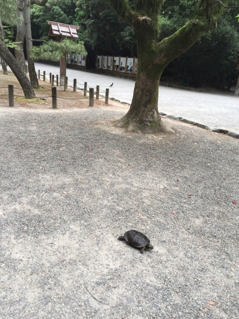 f:id:marinabook:20150529082421j:plain f:id:marinabook:20150529082421j:plain