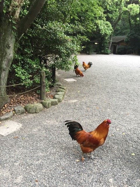 f:id:marinabook:20150529082727j:plain f:id:marinabook:20150529082727j:plain