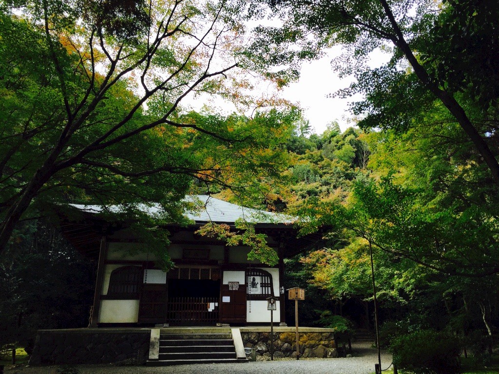 f:id:marinabook:20151123180220j:image f:id:marinabook:20151123180220j:image