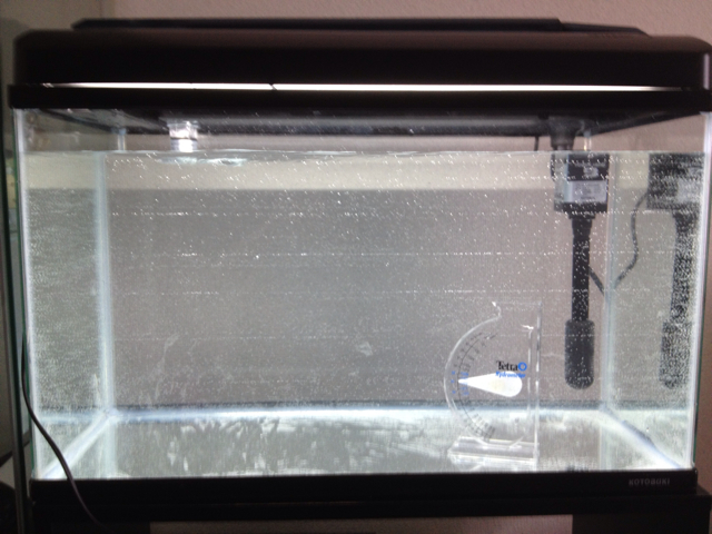 f:id:marine_aqua:20130312132341j:plain f:id:marine_aqua:20130312132341j:plain