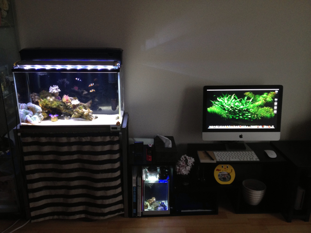 f:id:marine_aqua:20130517233909j:plain f:id:marine_aqua:20130517233909j:plain