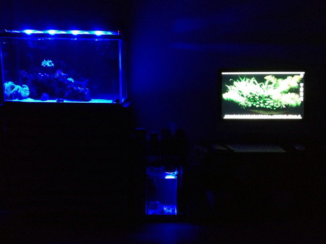 f:id:marine_aqua:20130517234002j:plain f:id:marine_aqua:20130517234002j:plain