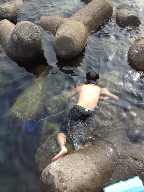 f:id:marine_aqua:20130815150538j:plain f:id:marine_aqua:20130815150538j:plain