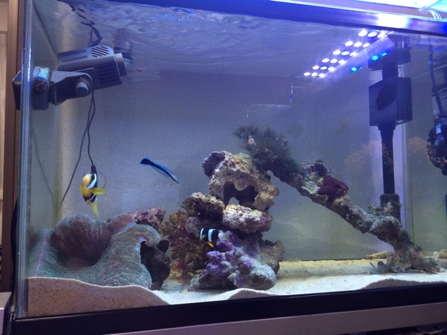 f:id:marine_aqua:20131127202858j:plain f:id:marine_aqua:20131127202858j:plain
