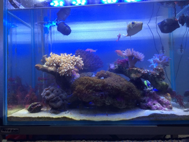 f:id:marine_aqua:20131127202955j:plain f:id:marine_aqua:20131127202955j:plain