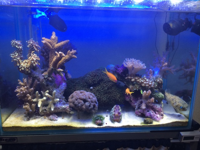 f:id:marine_aqua:20131209195346j:plain f:id:marine_aqua:20131209195346j:plain
